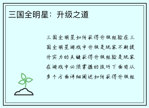 三国全明星：升级之道