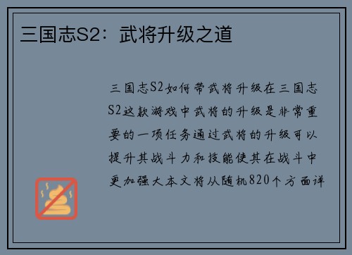 三国志S2：武将升级之道